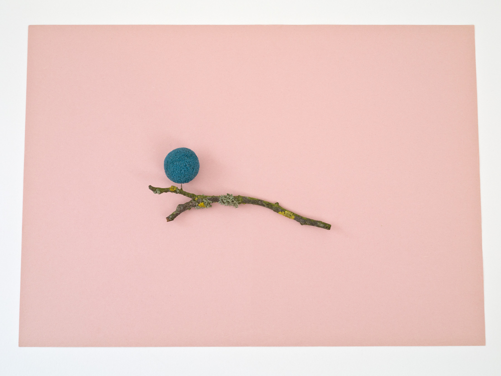 Find No.17b [small branch and sponge ball], 2015