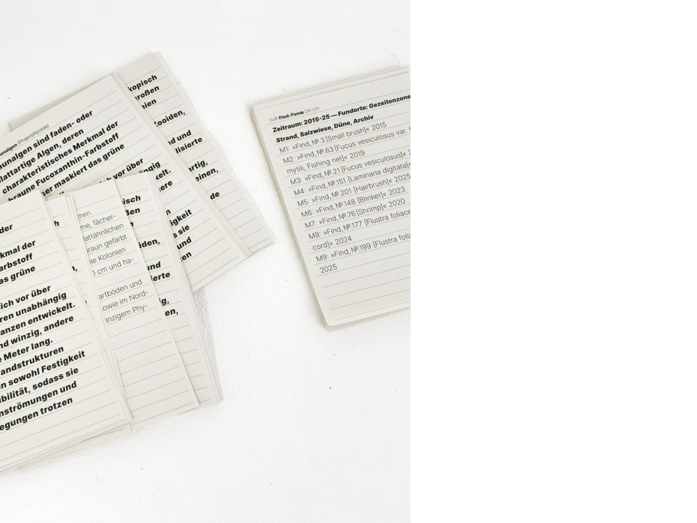 Textfragmente und das Verzeichnis der Fundstücke als Handzettel