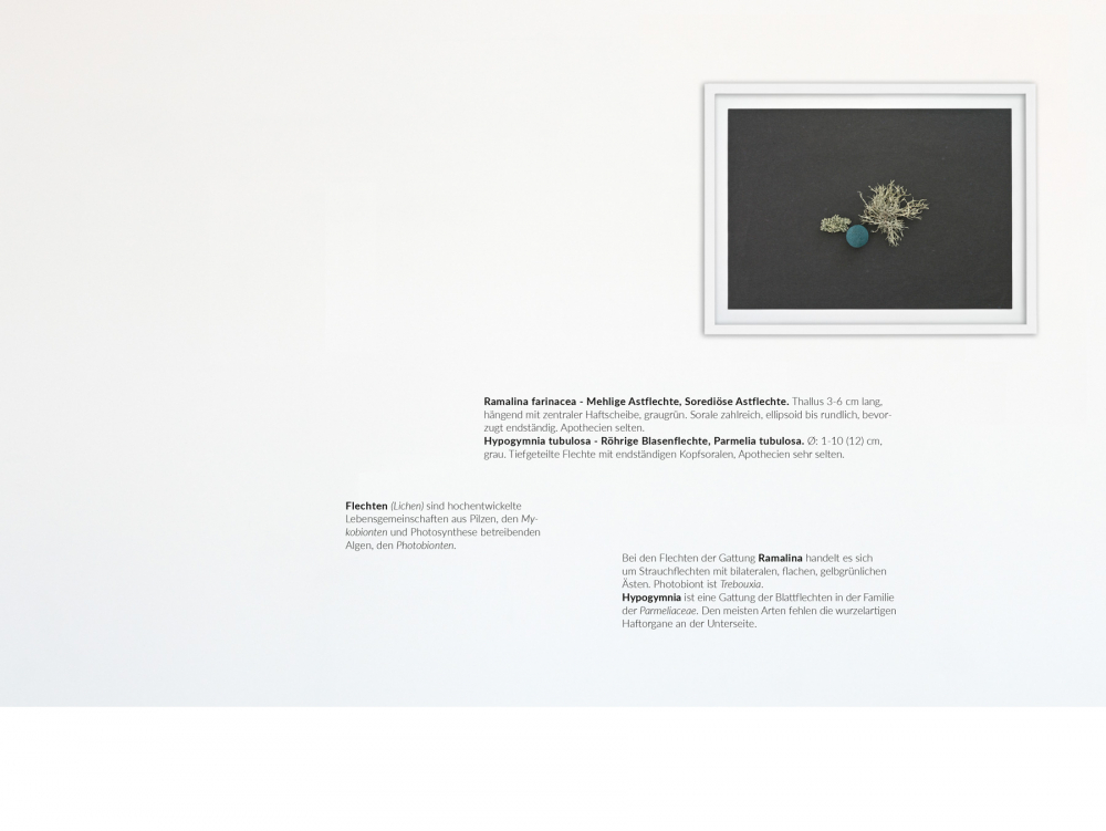 2015 – 2019, Pigmentdrucke, gerahmt mit Museumsglas, je 26 x 34 cm und Wandschrift