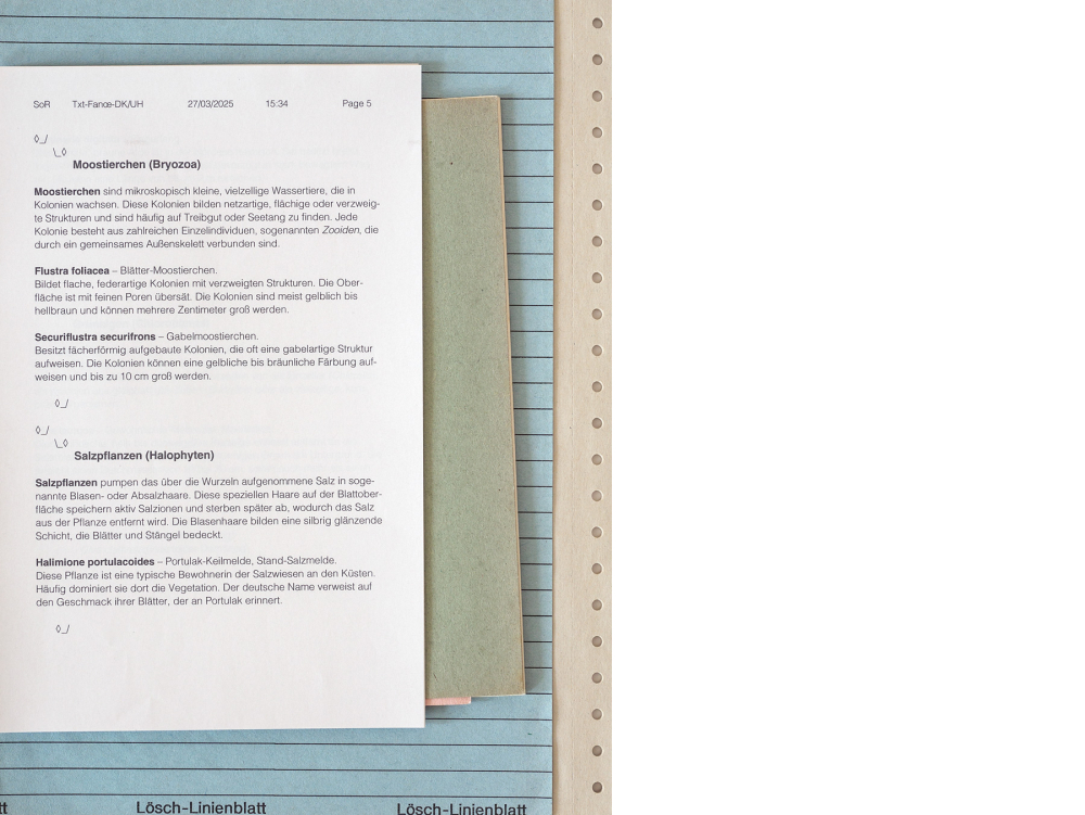 Scope of Responsibility